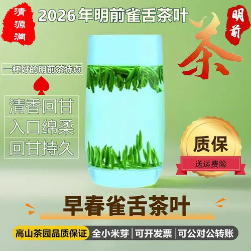 新茶春茶明前雀舌茶叶绿茶浓香型