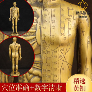 纯黄铜穴位铜人模型黄铜摆件室内中医药馆针灸经络模型摆放用品