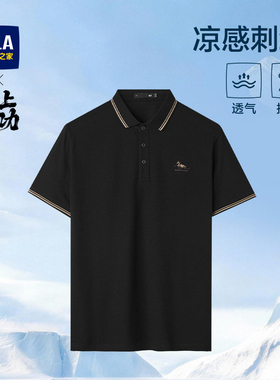 HLA/海澜之家凉感马上好运短袖POLO衫26春夏新透气翻领刺绣T恤男