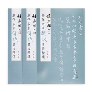 共3本历代名家题跋书法选赵孟頫三法帖墨迹杨东胜水墨绢本高清原色放大附录文句读繁体旁注赵松雪赵孟俯毛笔字帖 文物出版社