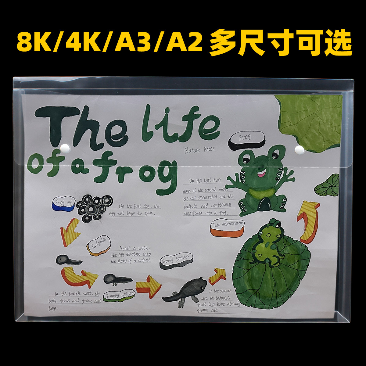 8K/A2/4K/A3开超大号透明文件袋图纸袋学生袋美术作品图稿整理袋