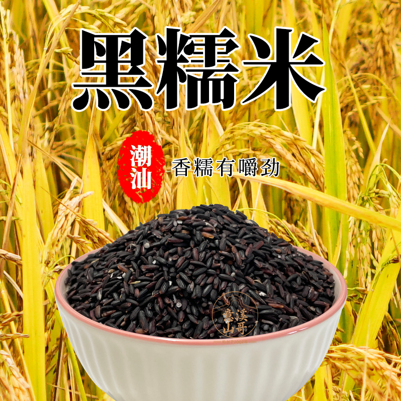 农家自产水稻谷种黑糯米优质紫米
