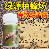 绿源种蜂场中囊灵中蜂囊状幼虫病药烂子灵中囊抗体蜜蜂药蜂具