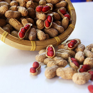 海南儋州红皮花生米生新货新鲜晒干带壳花生原味红衣花生