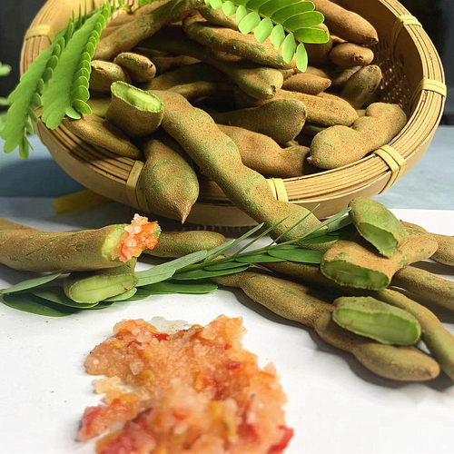 够酸酸豆儋州三亚酸角