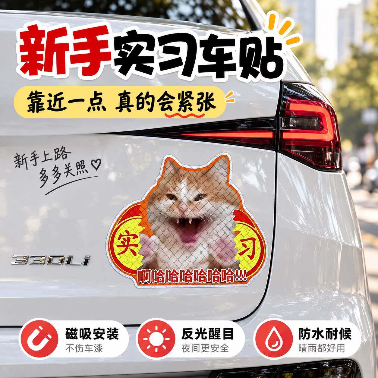 实习车贴搞笑猫咪表情包磁吸车贴新手上路车贴女司机车尾反光贴纸