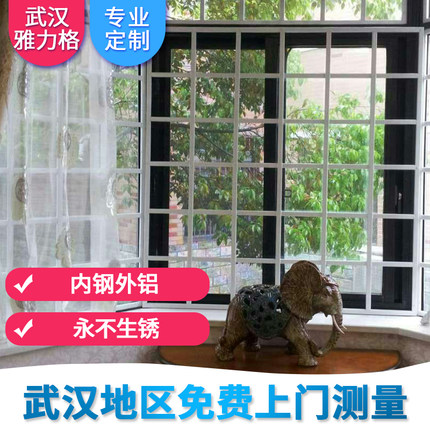 武汉雅力格防盗窗 烤漆防盗网 平开推拉内置l防盗格 隐形防盗网