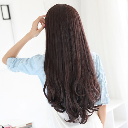 Perruque Les cheveux longs - Ref 2613912 Image 3