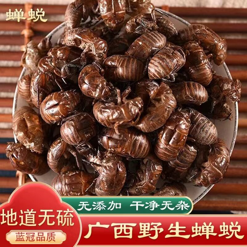 蝉蜕中药材蝉蜕野生蝉壳蝉衣知了皮壳农产品食用蝉蜕中草药
