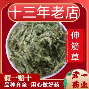 13年老店伸筋草中药材野生正品生筋草中药泡脚小伸筋草远志益智仁