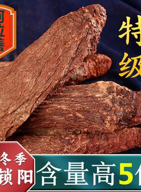 正品内蒙古阿拉善金锁阳中药材