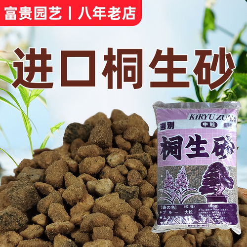 桐生砂日本进口多肉盆景松柏类生石花十二卷植物营养花土颗粒配方