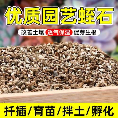 蛭石颗粒状珍珠岩发根扦插育苗