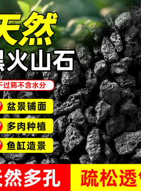 黑色火山石岩颗粒鱼缸造景养花底砂天然兰花铺面专用滤材水草定植