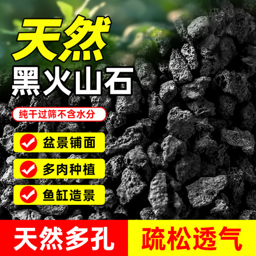 黑色火山石鱼缸造景多肉兰花铺面