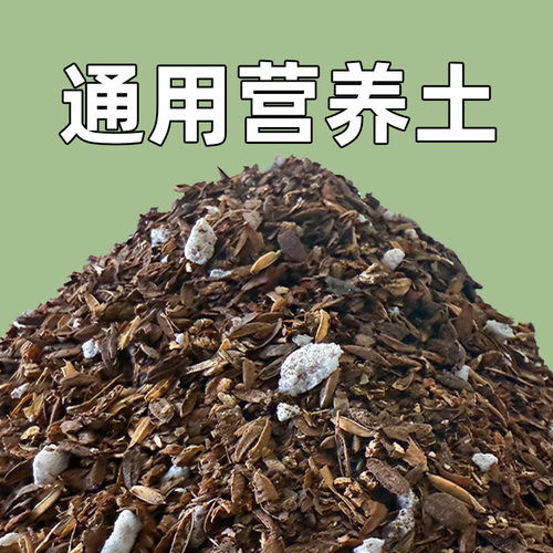 营养土养花专用通用型多肉花土