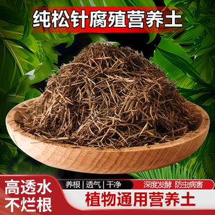 松针腐殖土君子兰专用腐叶松针土腐熟纯松针天然营养有机发酵养花