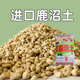 日本原装 兰花硬质多肉拌土铺面专用颗粒营养土 进口鹿沼土杜鹃月季