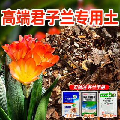 专业种植二十年君子兰养护专用土