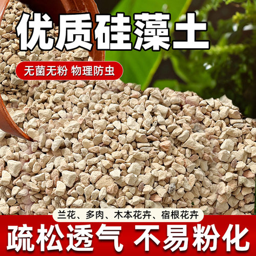 硅藻土颗粒多肉铺面石物理杀虫