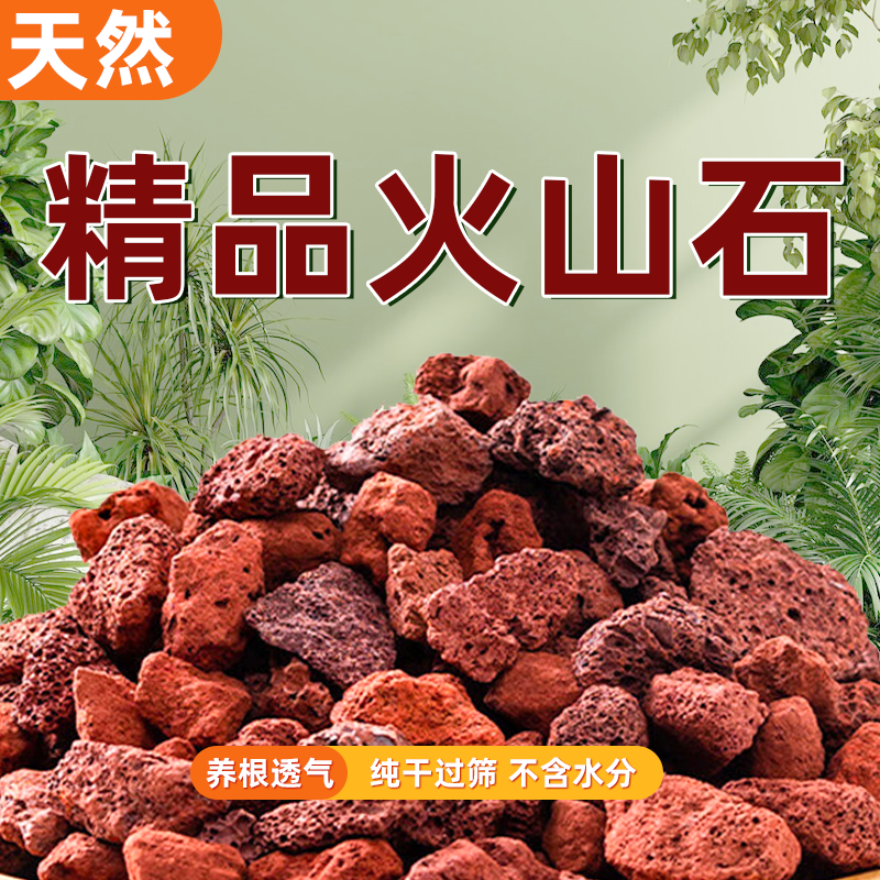 天然火山石颗粒精筛洗养多肉颗粒土兰花铺面鱼缸专用过滤造景材料,鲜花速递/花卉仿真/绿植园艺,介质/营养土,淘宝优惠券,粉丝福利购,淘宝优惠卷