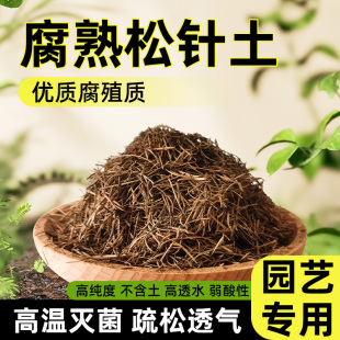 松针土橡树叶腐叶兰花腐熟松针多肉君子兰专用天然营养腐殖土花土