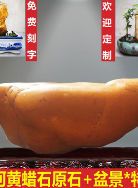 正宗黄河原石象形石元宝黄蜡石