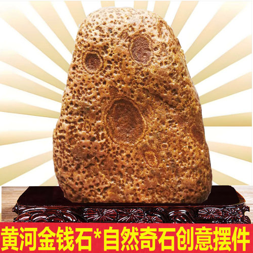 金钱石天然黄河原石黄蜡石古钱币象形石办公室客厅祝寿招正财摆件