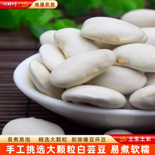 新货白芸豆白芸豆大白豆腰豆新货