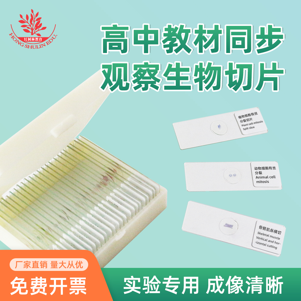 高中常用生物玻片教学同步观察玻片玉米种子纵切动物细胞有丝分裂