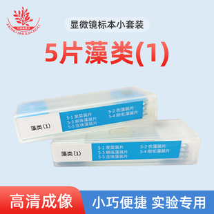 5种藻类套装显微玻片学生显微镜配件科学实验观察用生物标本切片