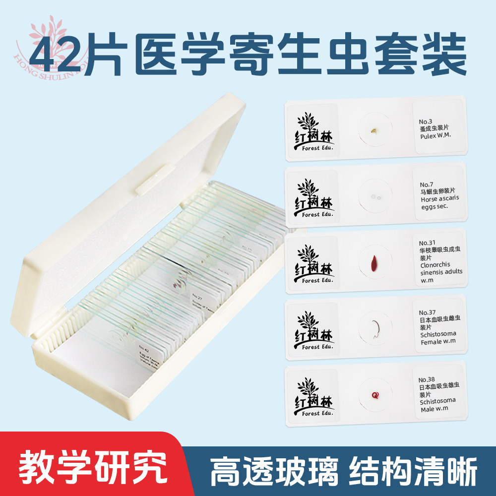 42片寄生虫显微镜切片套装医学院寄生虫学教学研究用生物标本切片