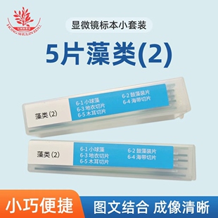 5种藻类显微镜标本切片小套装学生儿童生物科学实验用显微镜配件