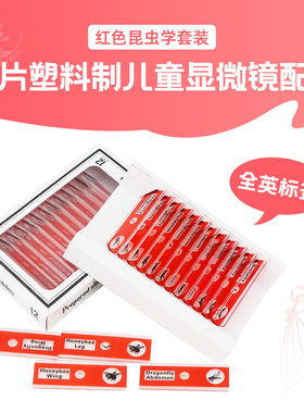 红色切片标本科普礼物儿童显微镜