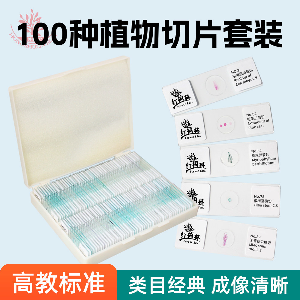 100种植物类显微镜标本切片套装