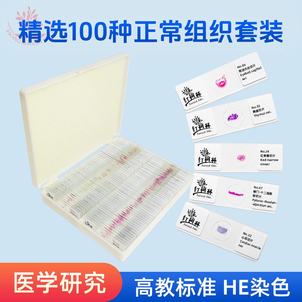 精选100种人体正常组织切片FRT2001高教品质HE染色医学解剖组织学