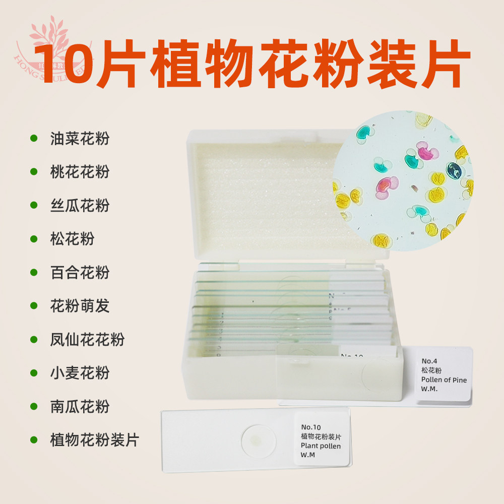 10片装植物花粉显微切片高教科研机构用生物实验标本片油菜花粉