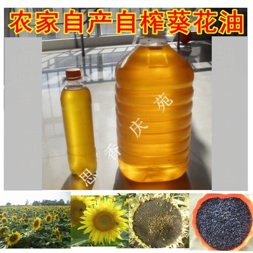 西北甘肃土特产庆阳葵花籽食用油 油葵瓜子500ml特价促销美食油品