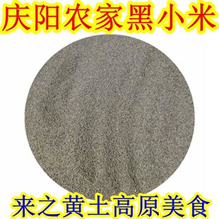 西北甘肃土特产庆阳环县农家黑小米贡米五谷杂粮什社大黄米粮食品