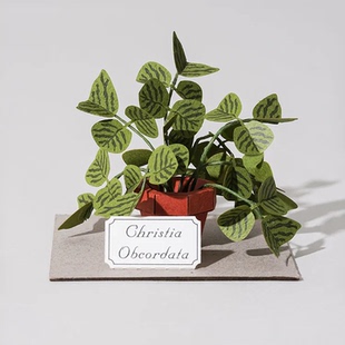 【迷你纸模植物】jeancard立体纸雕3d镭射diy材料包纸风景蝙蝠草
