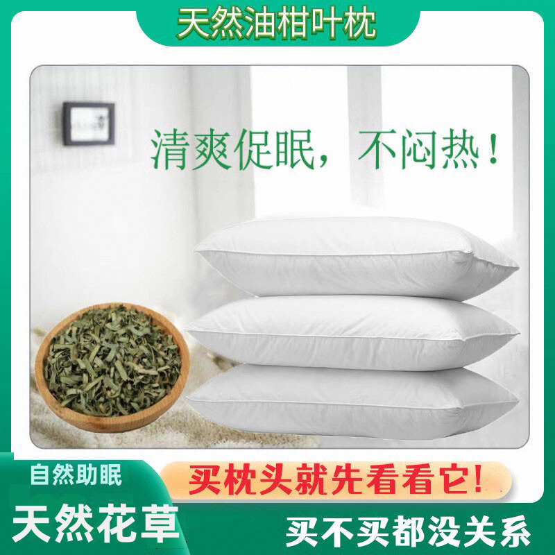 成人油柑叶油柑叶保健枕物原料