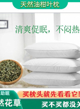 正宗新鲜晒干野生油柑叶枕头芯夏凉枕牛柑叶油甘叶学生成人保健枕