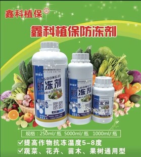 植物防冻剂蔬菜防冻剂苗木防冻液御寒剂抗冻剂北京鑫科植保防冻剂