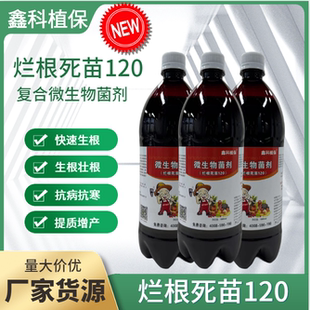根腐枯萎立枯西瓜重茬枯萎 北京鑫科植保烂根死苗120