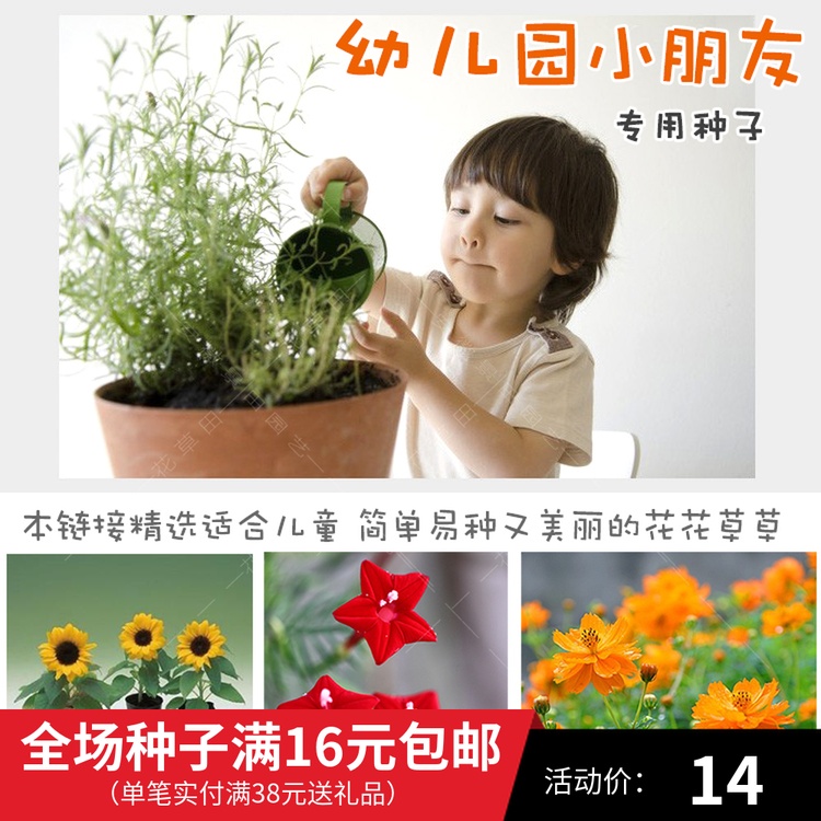 幼儿园花种籽子儿童植物种子简单?#23383;中?#36259;课?#31859;?#19994;教学认识自然