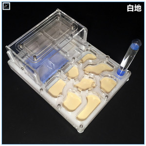 夜风之声亚克力平面石膏蚂蚁