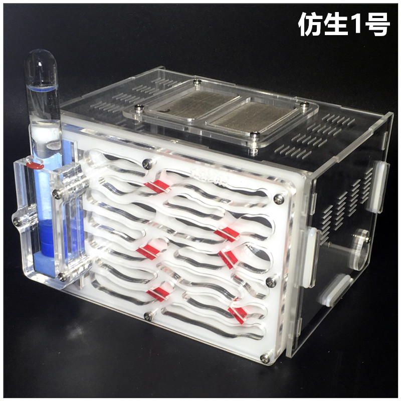 亞克力蟻巢寵物活體替代螞蟻工坊