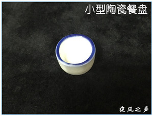 养蚁常用物品 小型陶瓷餐盘 每件1个 喂水喂食专用 买4送1