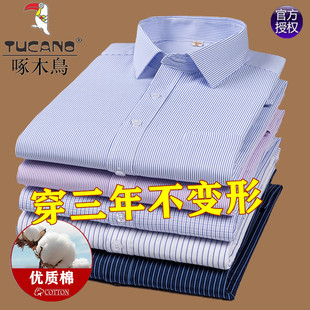 衬衫 长袖 纯棉中年薄款 免烫条纹短袖 啄木鸟春秋季 衬衣男爸爸装 男士