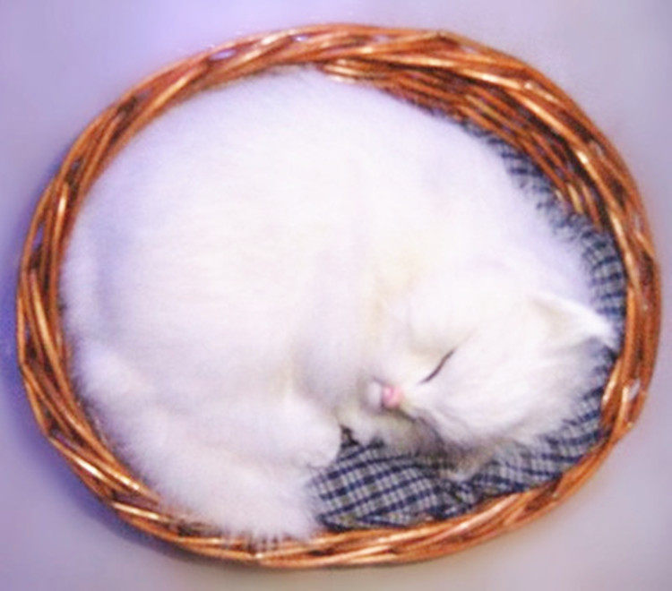 仿真动物模型 仿真猫 睡猫 睡筐猫 白猫 仿真工艺品 摄影道具